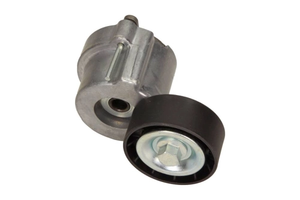 Tensor de la correa trapecial Peugeot/Citroen 55561330 precio, desde 29,71 EUR