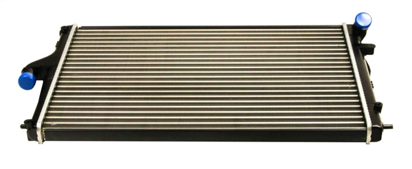 214100598R Lada Refrigeración del motor