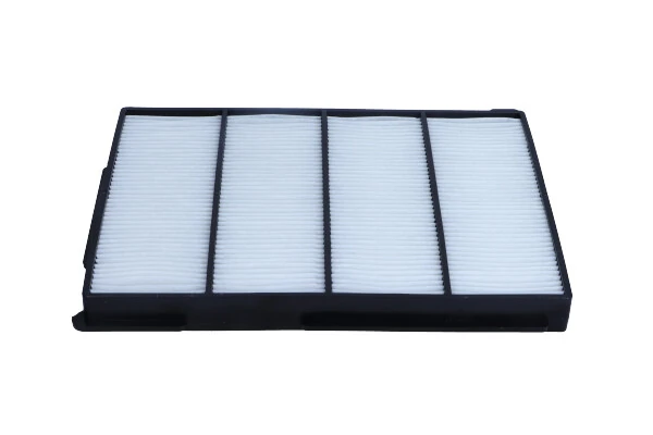 261509 Maxgear Filtro antipolen