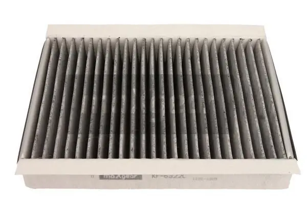 89031231 General Motors Filtro antipolen