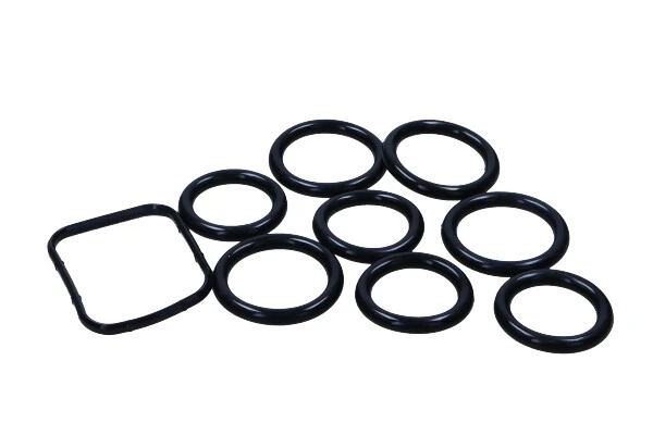 Junta de colector de admisión Ford Fiesta Mk5 hatchback (JH, JD) (2001 - 2008) precio, desde 1,33 EUR