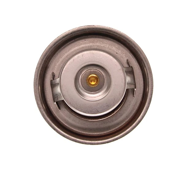 Termostato refrigerante BMW 7 