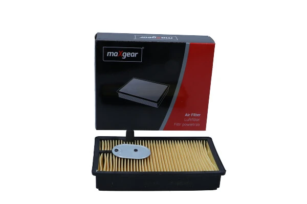 1666711081 Aixam Filtro de aire de motor