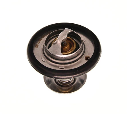 Termostato para Ford Escort GAL