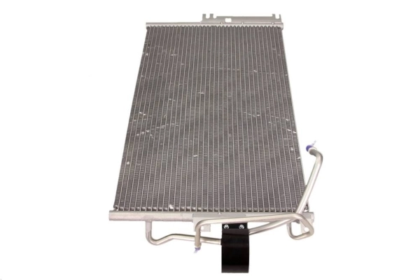 AC810242 Maxgear