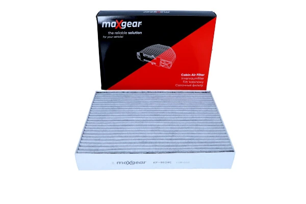 Filtro antipolen para Ford Focus IV HN