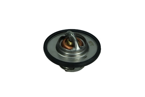 Termostato para Renault 19 B53, C53