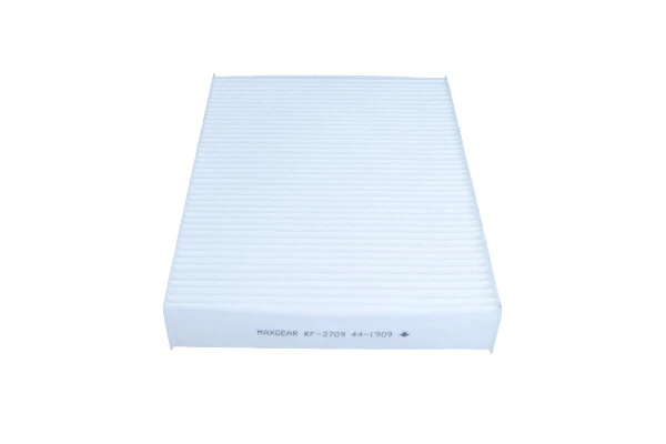 2727900Q0B Nissan/Infiniti Filtro antipolen