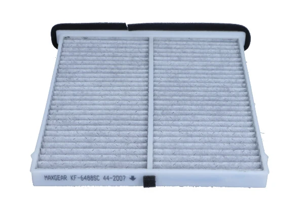 261771 Maxgear Filtro antipolen