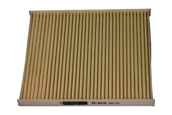 261035 Maxgear