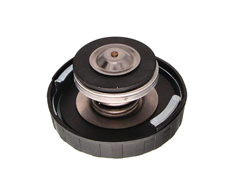 Comprar Tapa radiador Mercedes E  W123