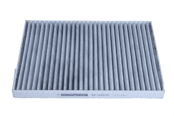 Filtro de polen Peugeot/Citroen 1640600580