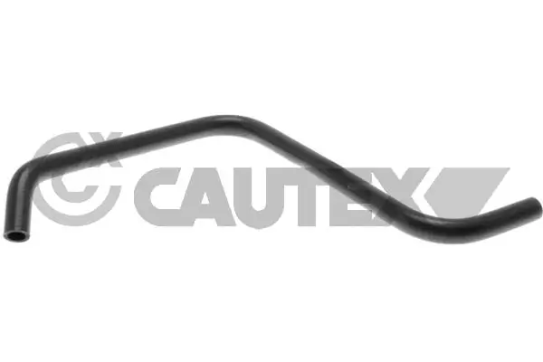 026197 Cautex