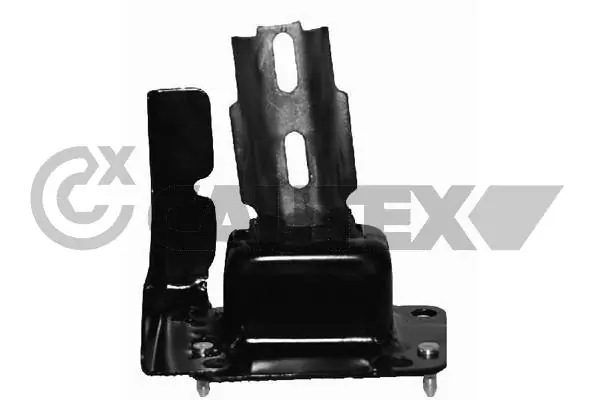 031692 Cautex