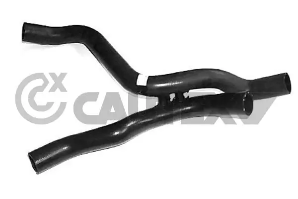 466091 Cautex