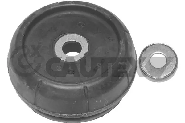 480106 Cautex