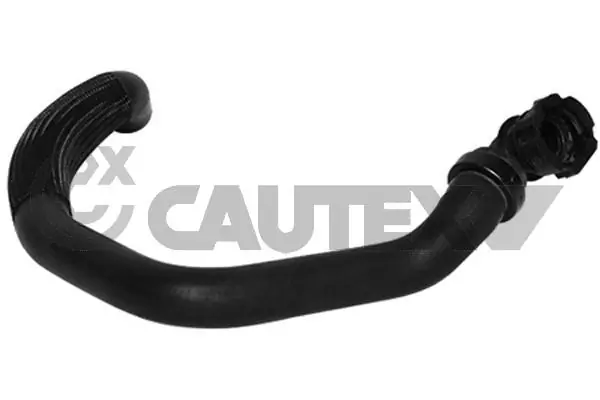 753433 Cautex