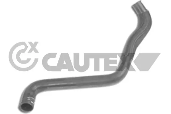 031350 Cautex