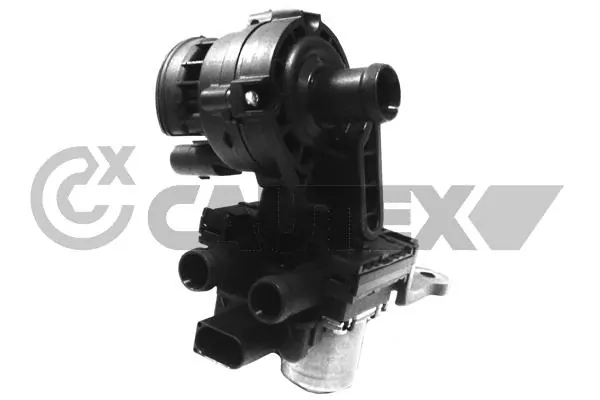 462629 Cautex