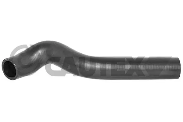 486052 Cautex