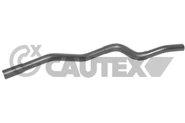 036414 Cautex