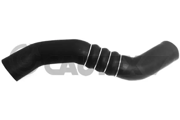 066581 Cautex