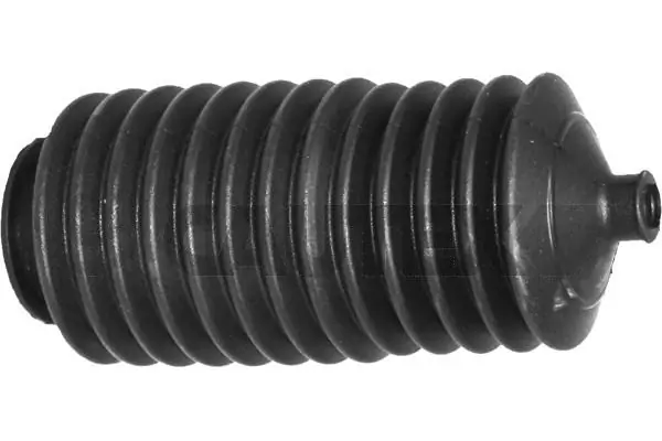 021420 Cautex