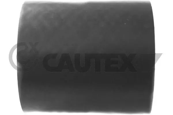 760312 Cautex