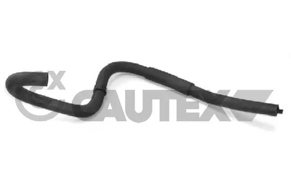 031213 Cautex