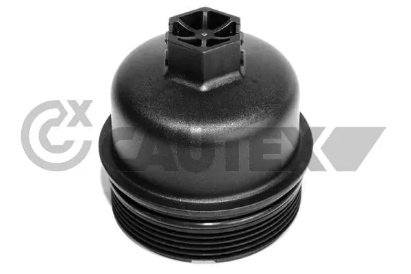 031579 Cautex