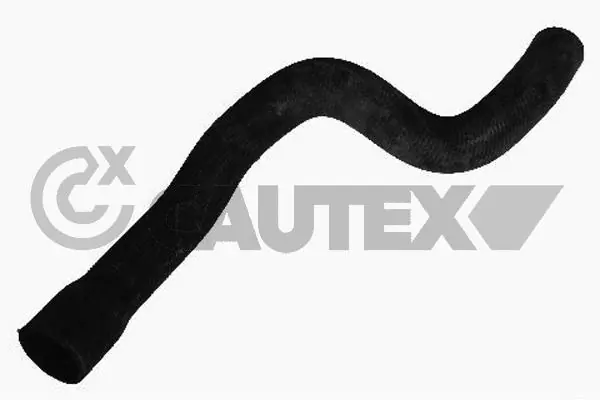 486522 Cautex
