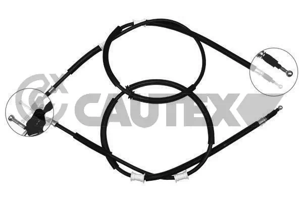 489101 Cautex