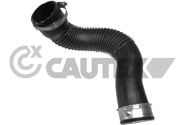 186737 Cautex