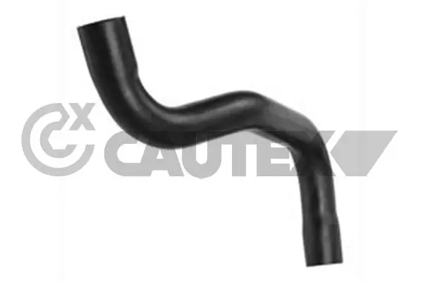 026499 Cautex