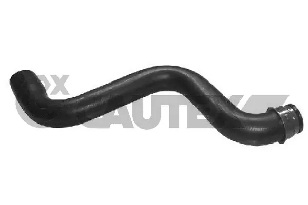 031064 Cautex