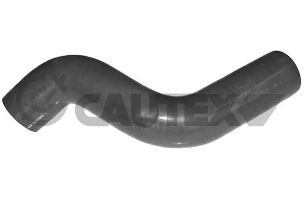 026843 Cautex