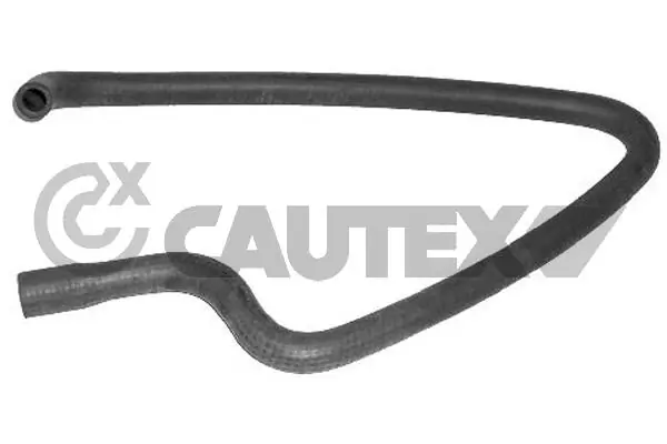 036362 Cautex