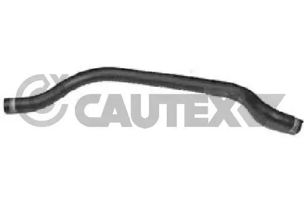 031082 Cautex