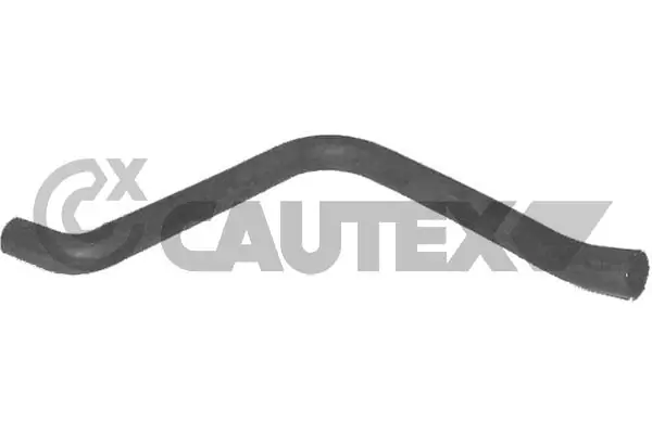 026311 Cautex