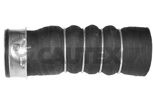 466814 Cautex