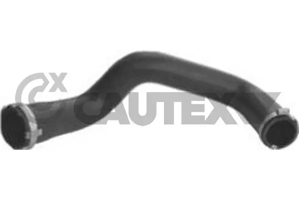 086804 Cautex