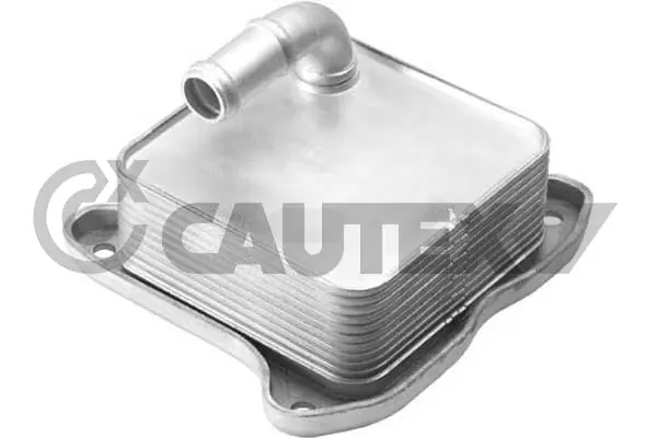 462529 Cautex