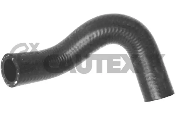 769738 Cautex