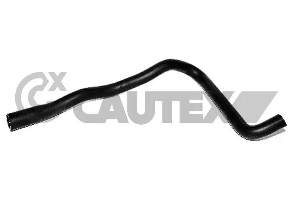 086189 Cautex