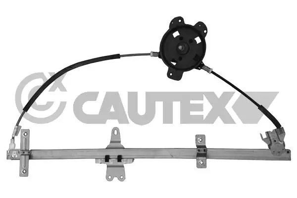 067076 Cautex