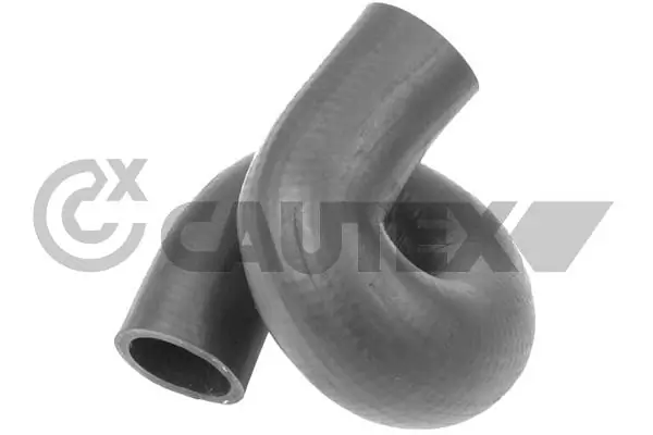 486109 Cautex