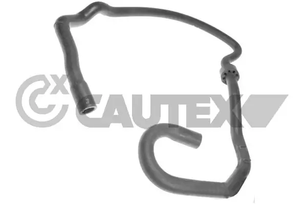 752945 Cautex