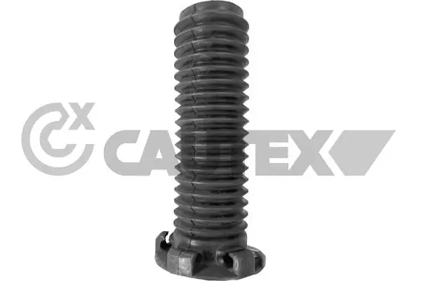 758504 Cautex