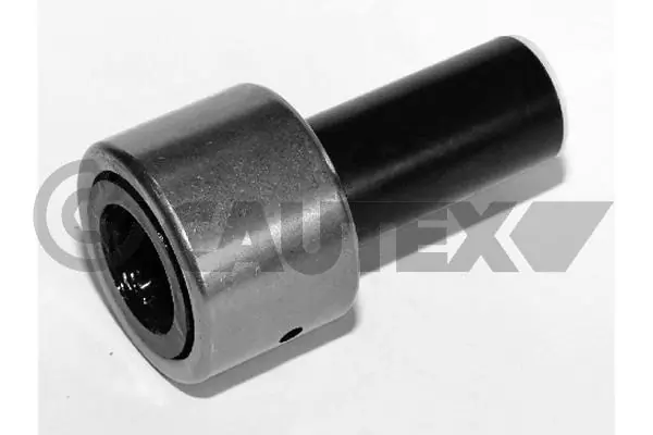 021360 Cautex