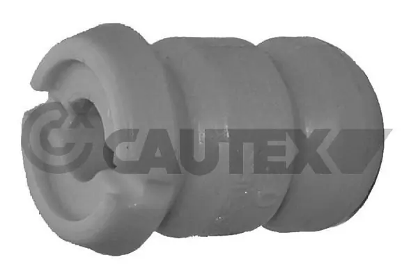 031256 Cautex
